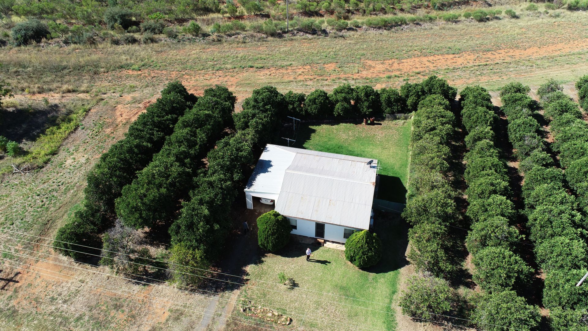 124 Ballingal Road, Tharbogang NSW 2680, Image 1