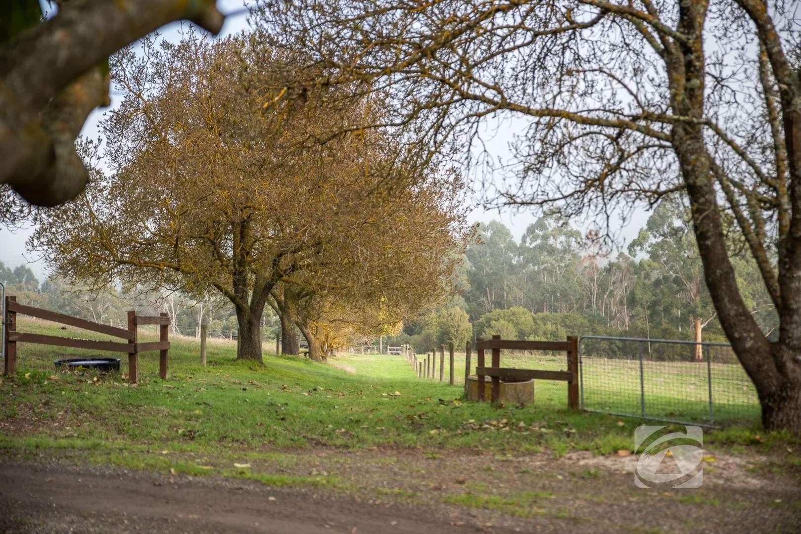 Image 25