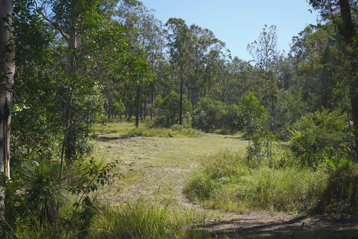 Image 41