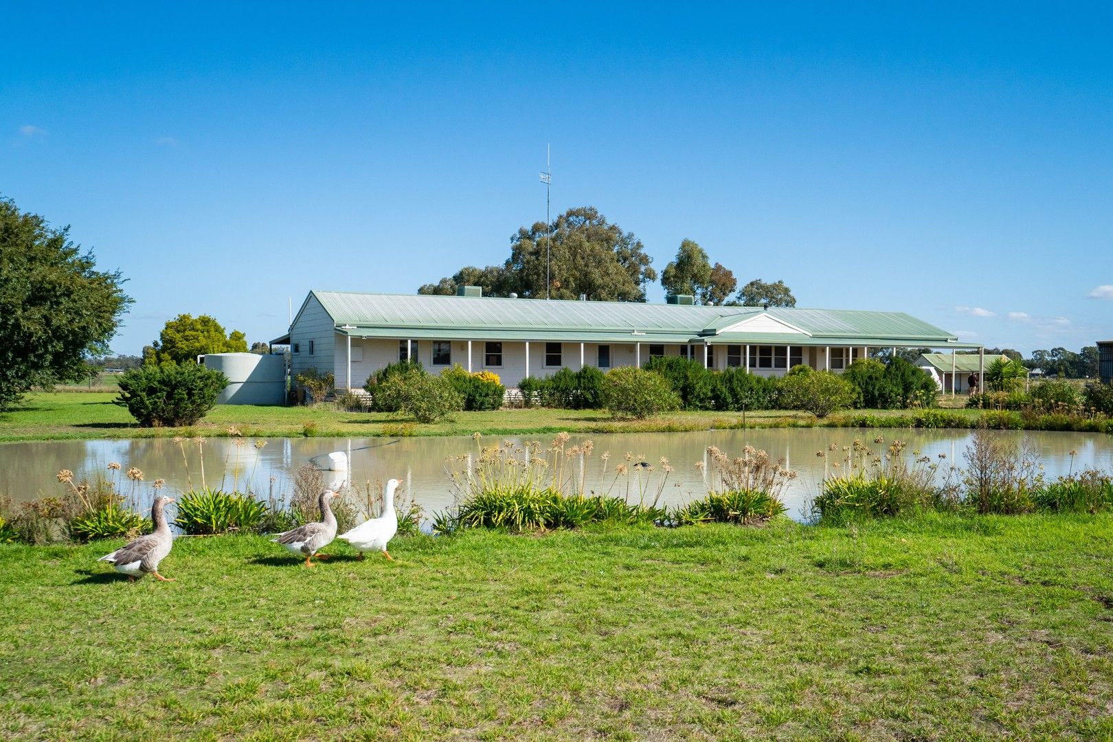 40 Flanagans Lane, Deniliquin NSW 2710, Image 0