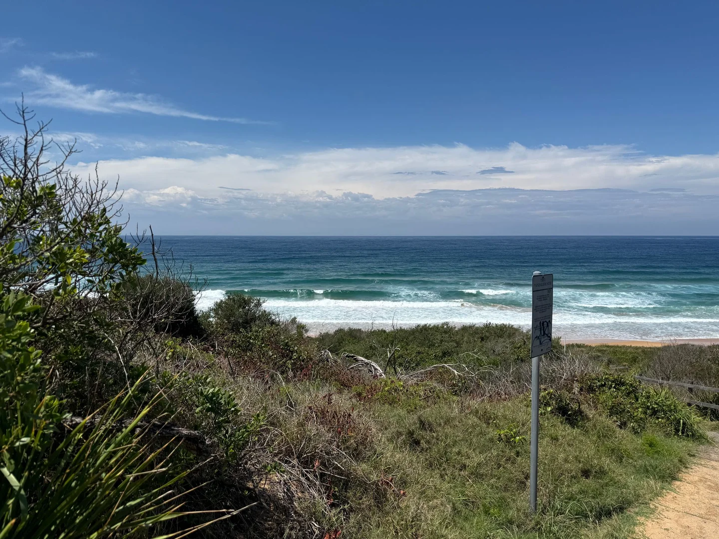 Image 15