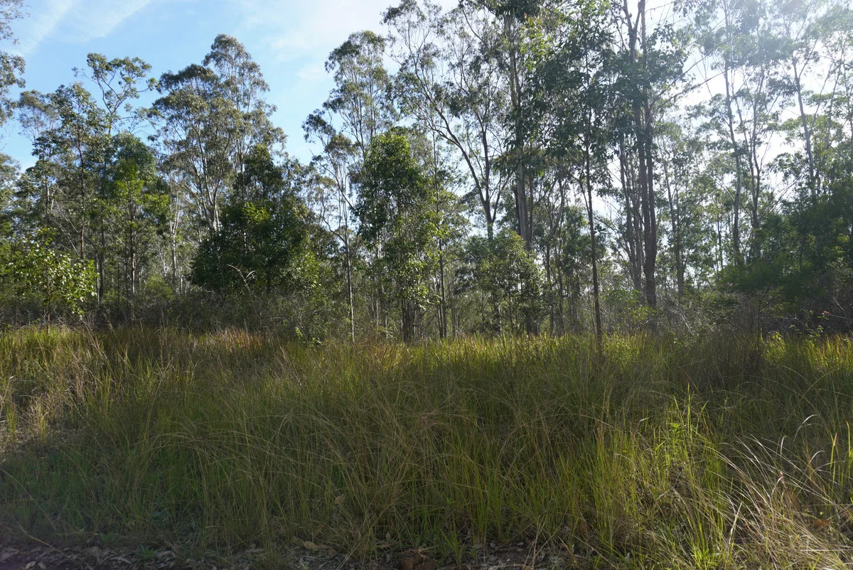 Image 36