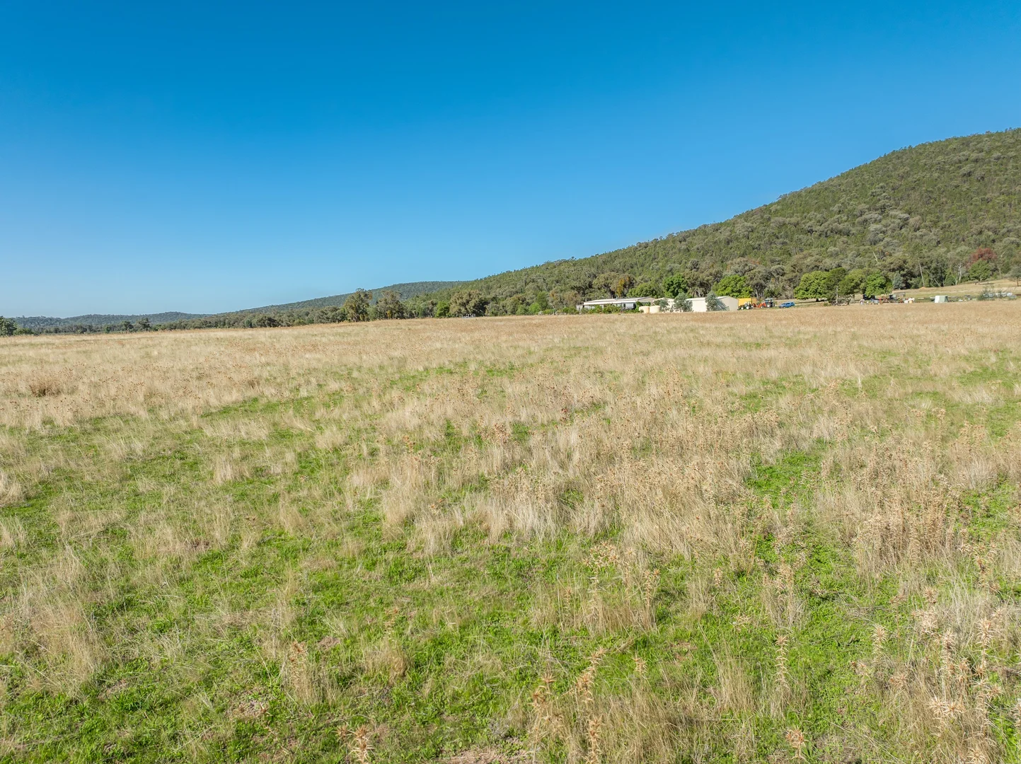 Additional image 19 of 1235 Kangarooby Road, Gooloogong NSW 2805