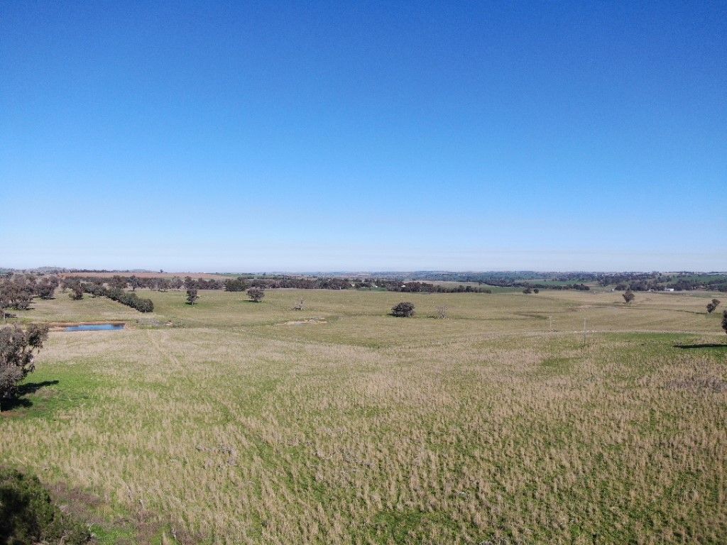 'Black Range' Cusack Road, Boorowa NSW 2586 Farm for Sale Domain