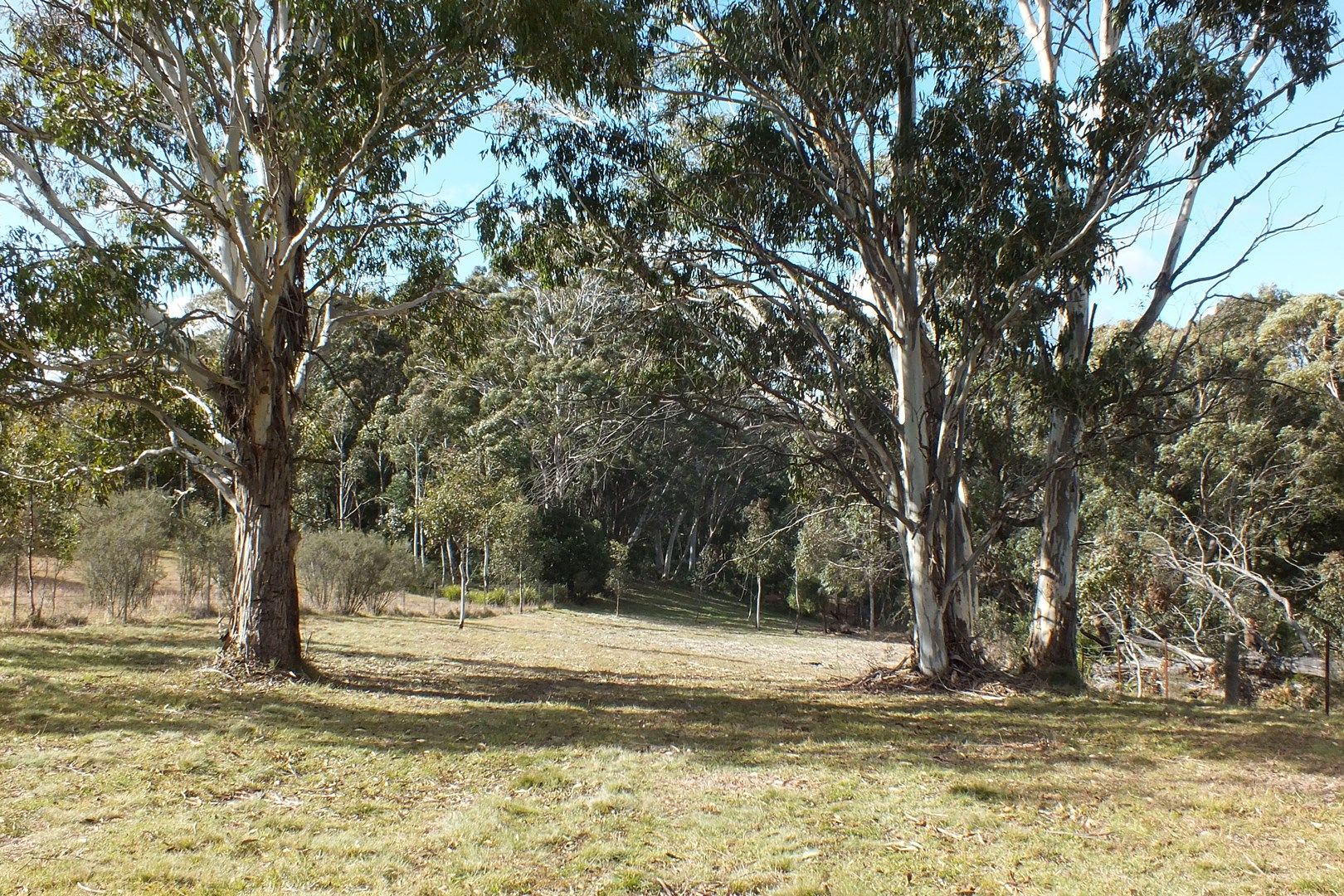 Lot 9 Jenolan Caves Road, Hampton NSW 2790, Image 0