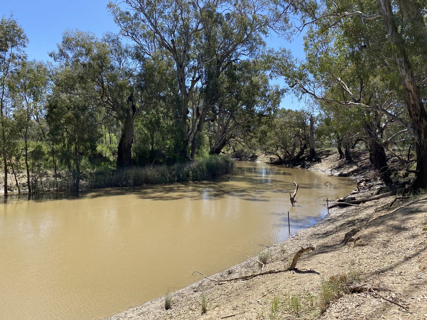 202 North Forbes Road, Condobolin NSW 2877, Image 1