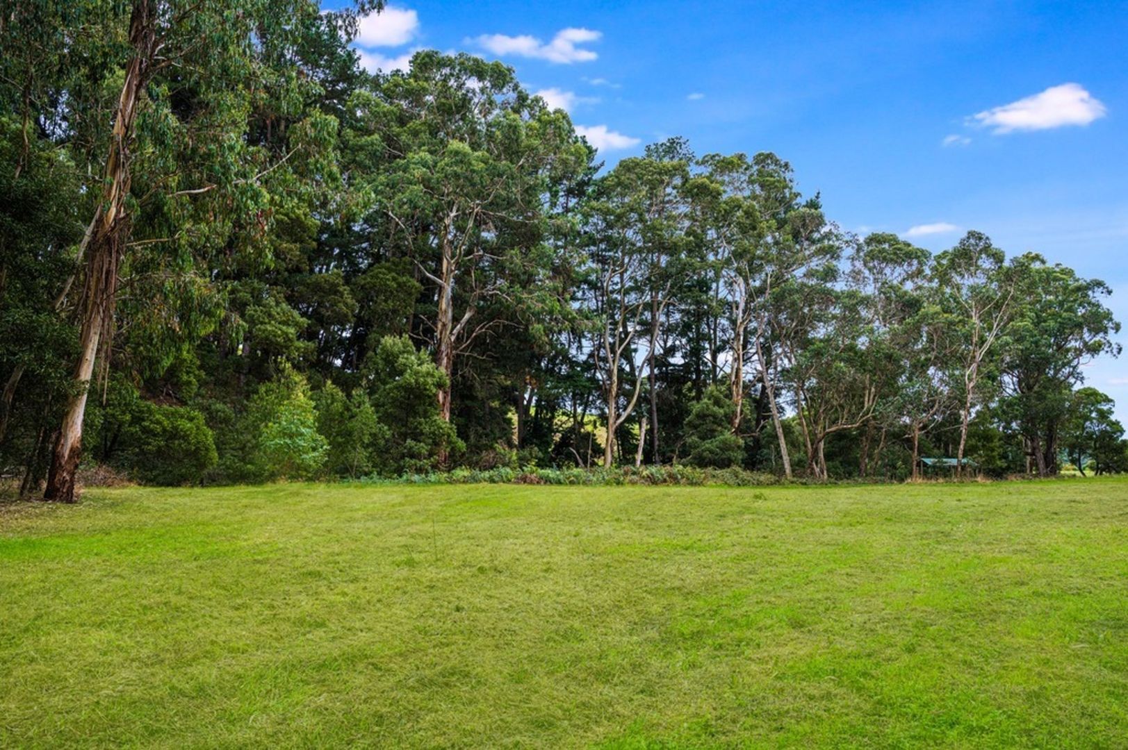 1680 Colac-Lavers Hill Road, Kawarren VIC 3249, Image 2