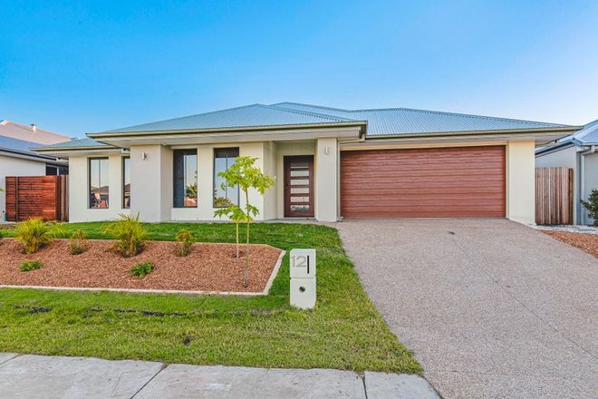 pics 5 Bedroom House For Rent Near Me bedroom houses for rent in ormeau qld