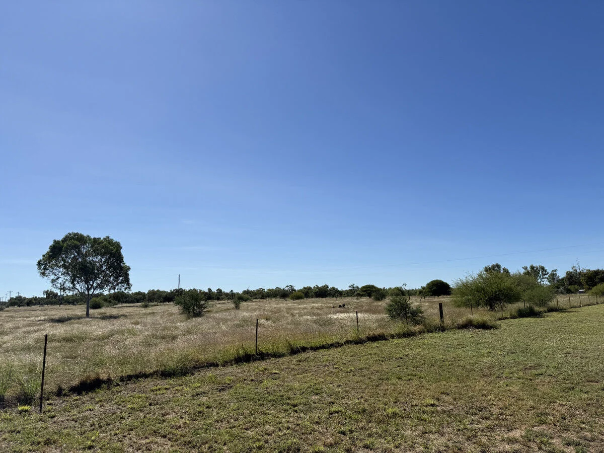 Image 29