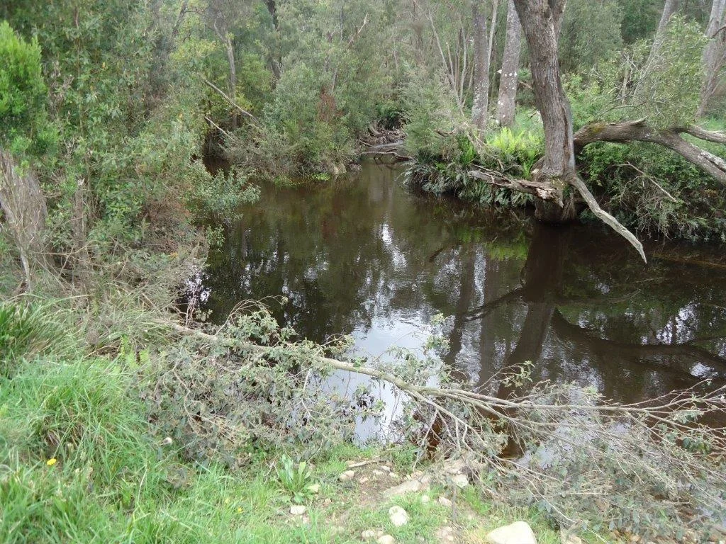 Image 10