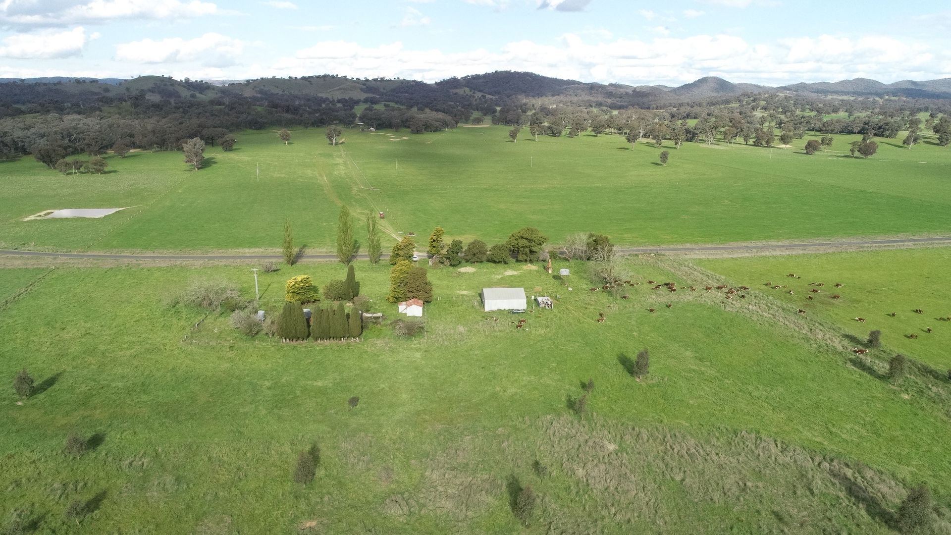 1091 Humula Road, Tarcutta NSW 2652, Image 1