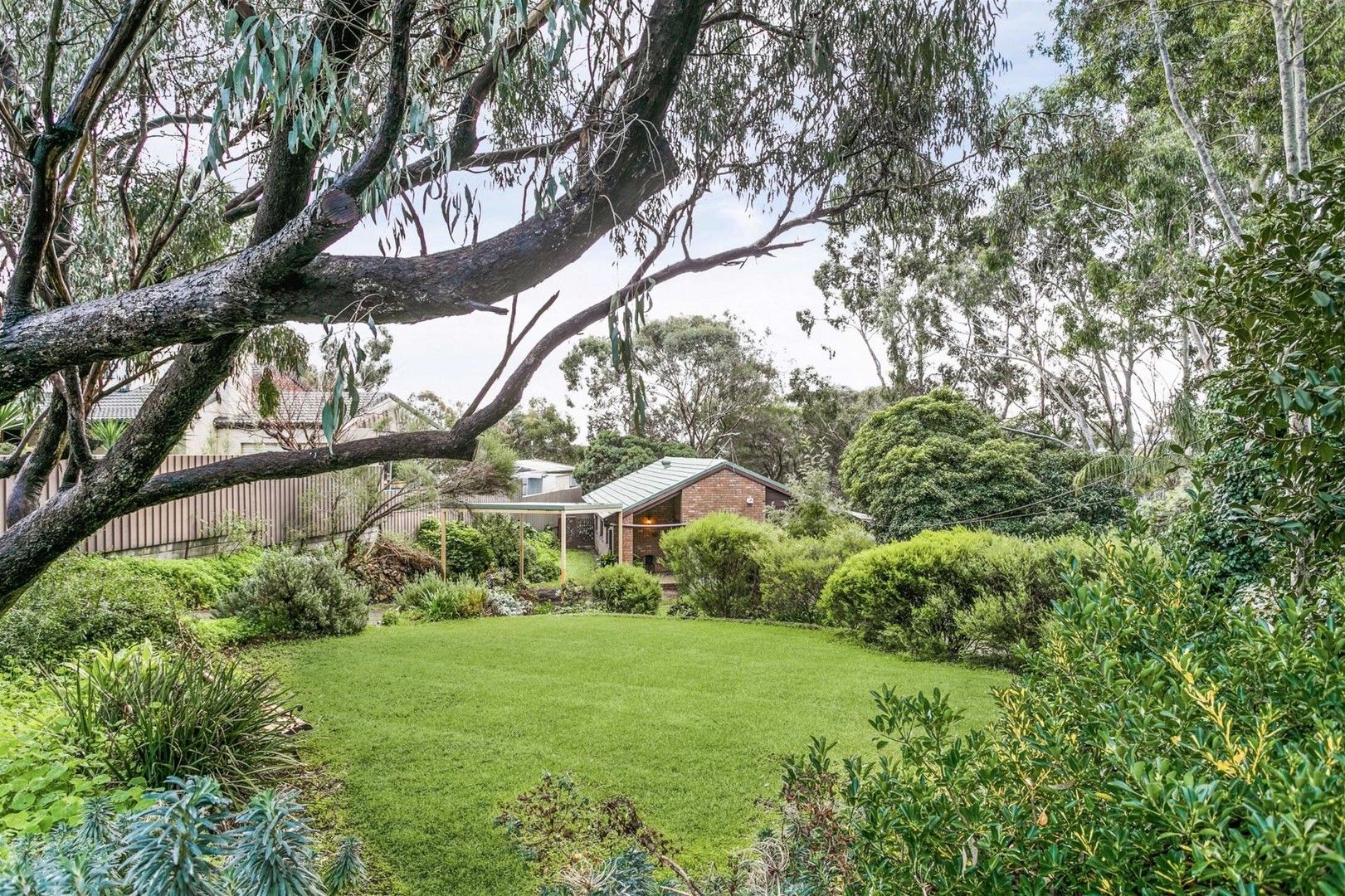 8 David Street, Coromandel Valley SA 5051, Image 0