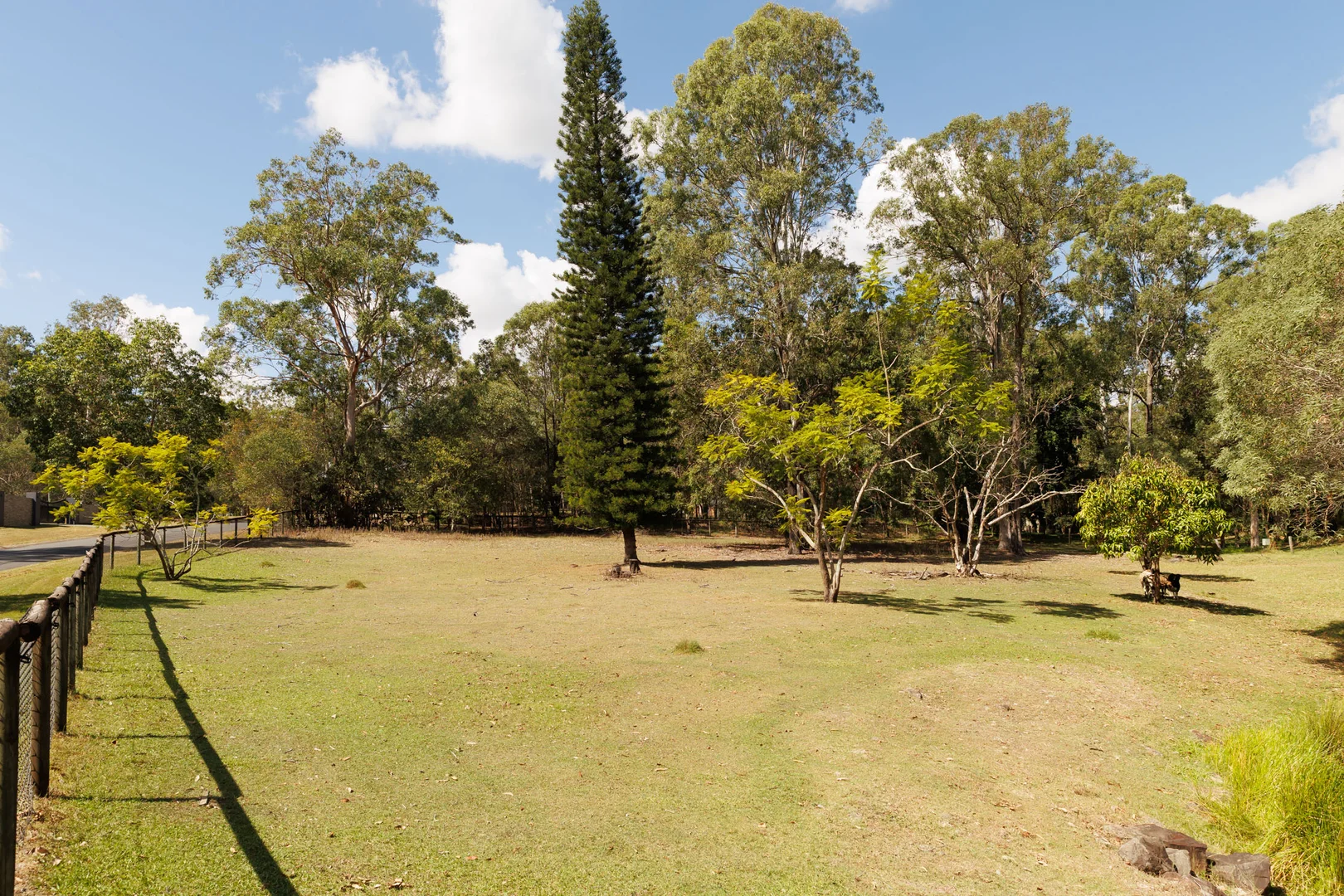 Image 14