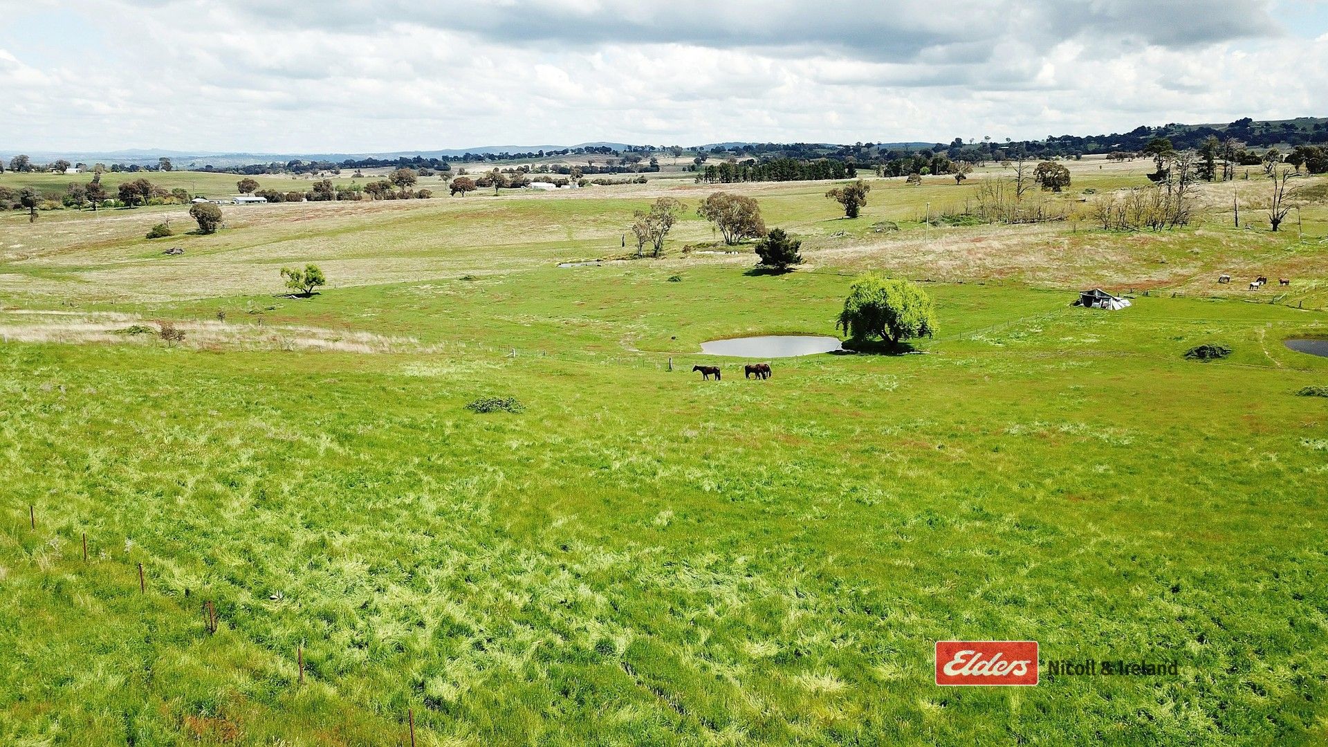 357 Mount Rankin Road, Mount Rankin NSW 2795, Image 0