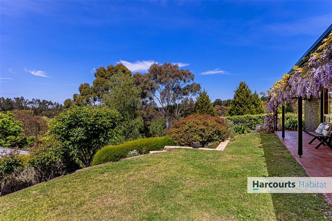 29 Totness Road, Totness SA 5250, Image 1