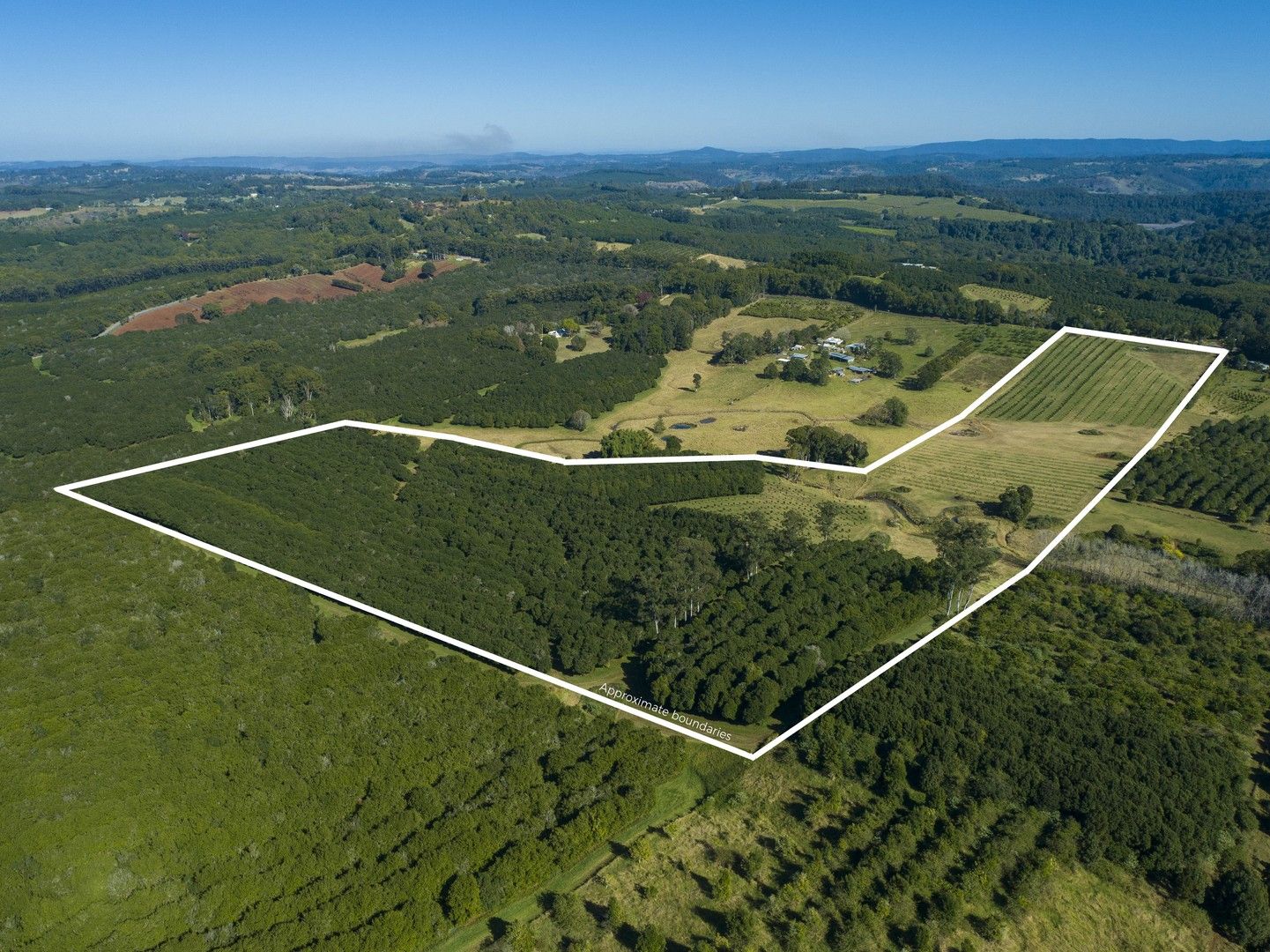 Dunoon NSW 2480 House for Sale Domain