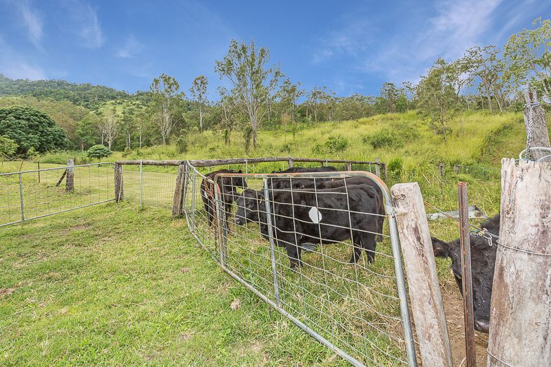 6044 Mackay Eungella Road, Netherdale QLD 4756, Image 2