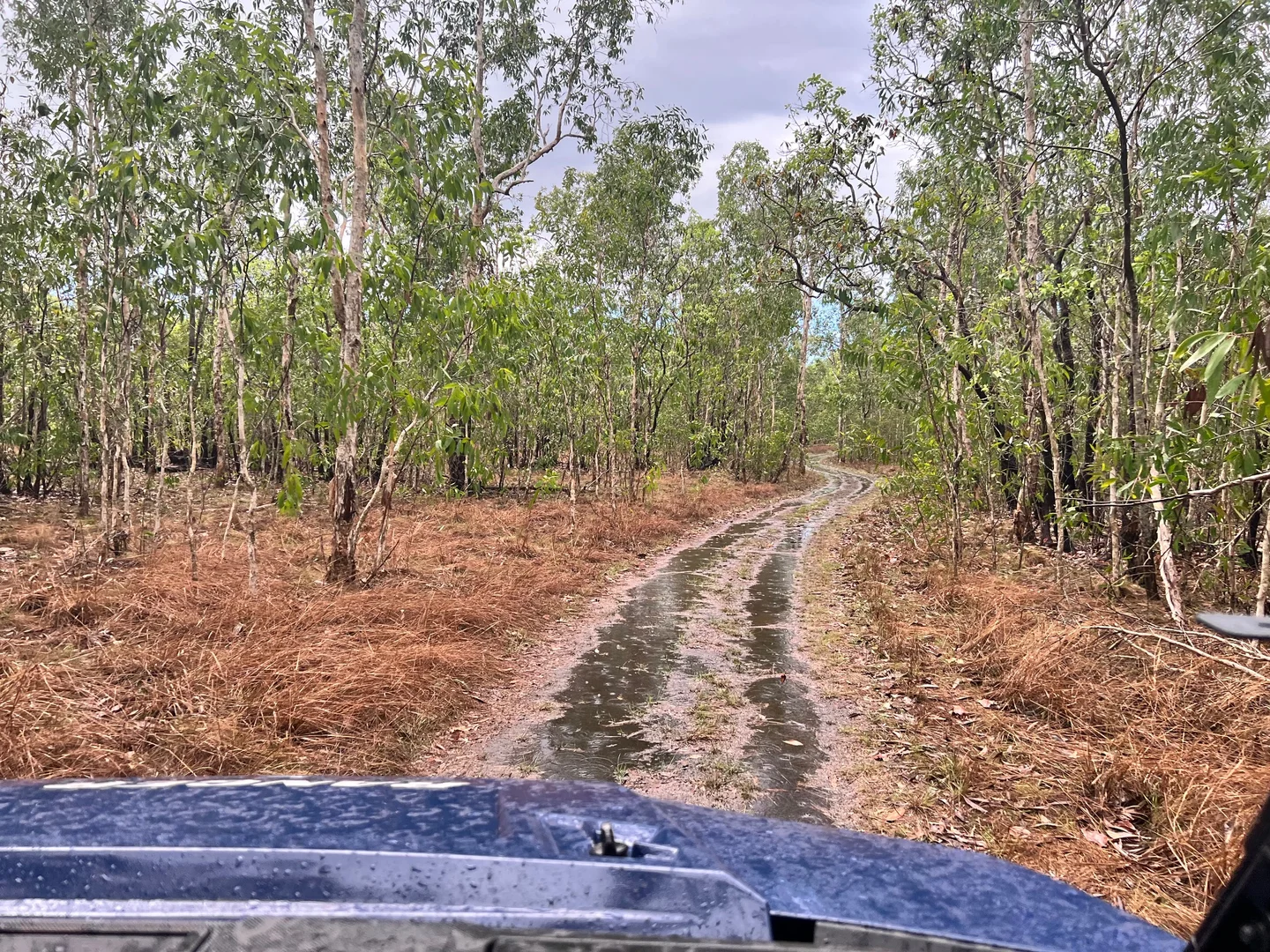 Image 11