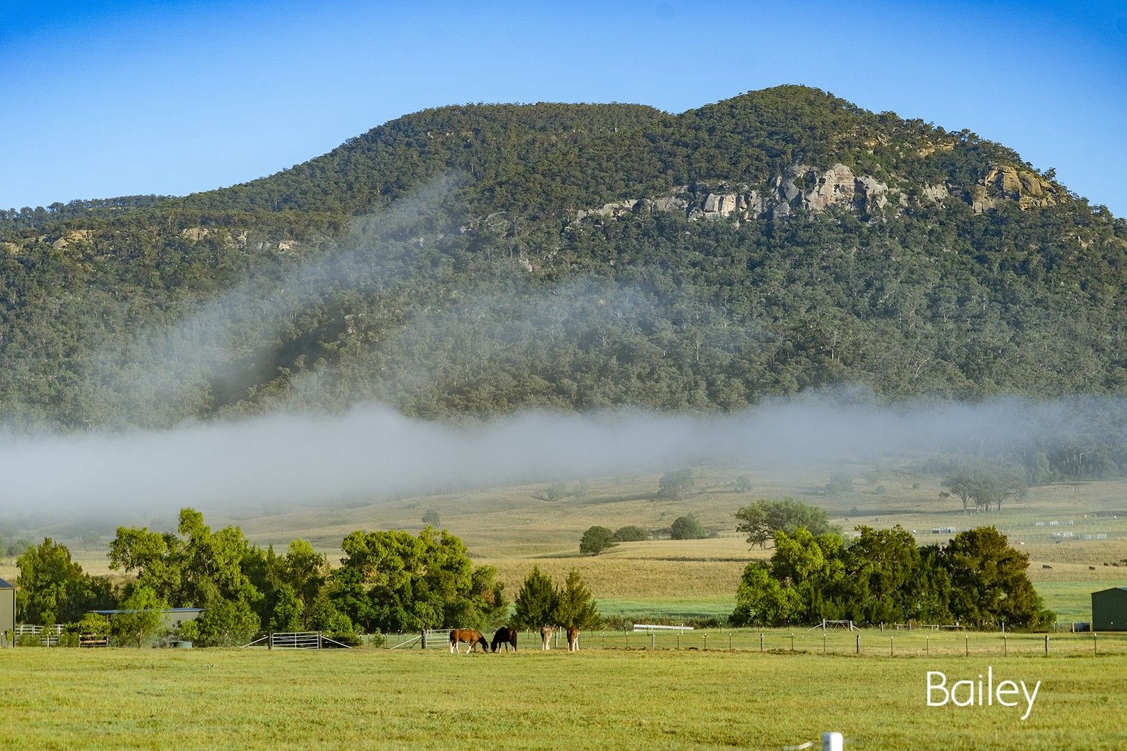 324 Doyles Creek Road, Doyles Creek NSW 2330, Image 0