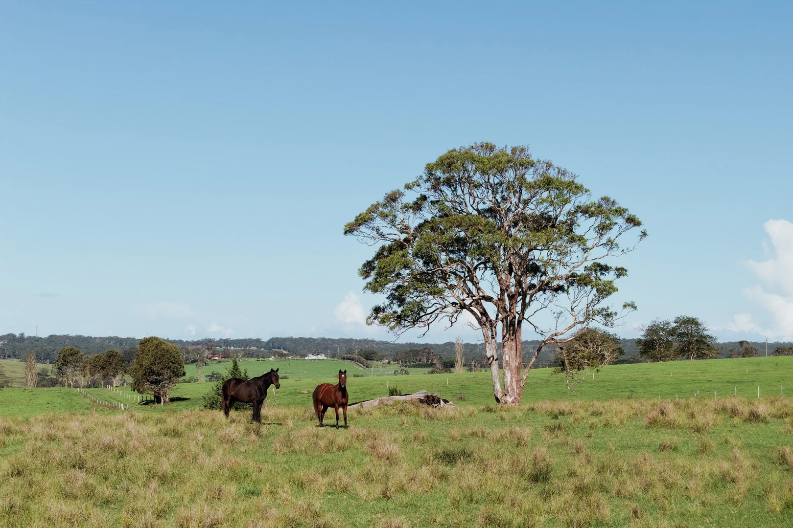 Additional image 31 of 24 Evans Lane, Woodstock NSW 2538