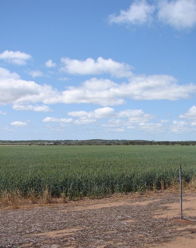 Lot 1034 Company Road, Greenough WA 6532, Image 0