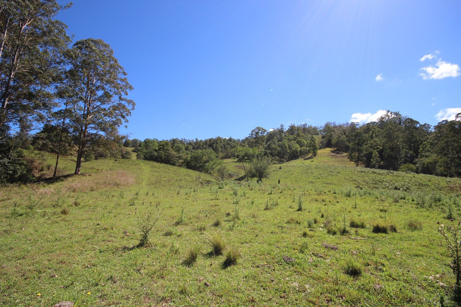 Lot 133 Forbes River Road, BIRDWOOD NSW 2446, Image 2