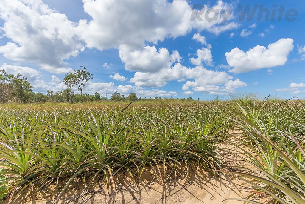 280 Child Road, Wamuran QLD 4512, Image 2