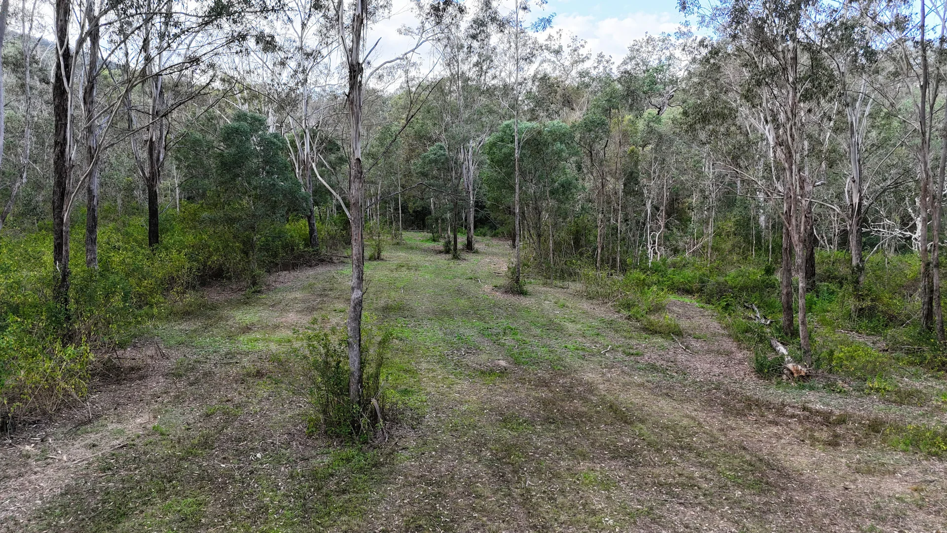Image 9
