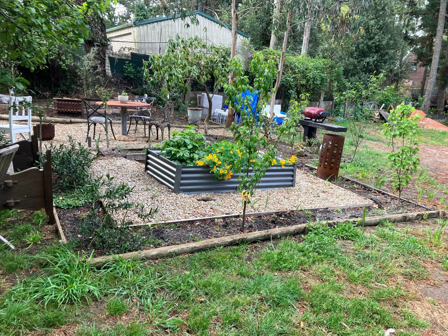 Image 15
