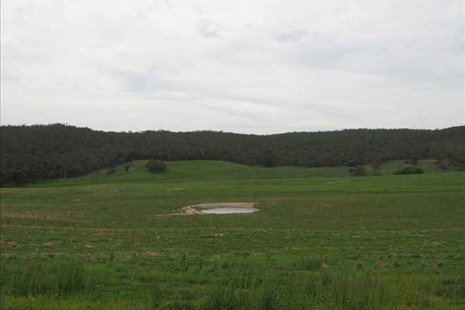 Picture of 72 Wild Cattle Flat Road, JINGERA NSW 2622