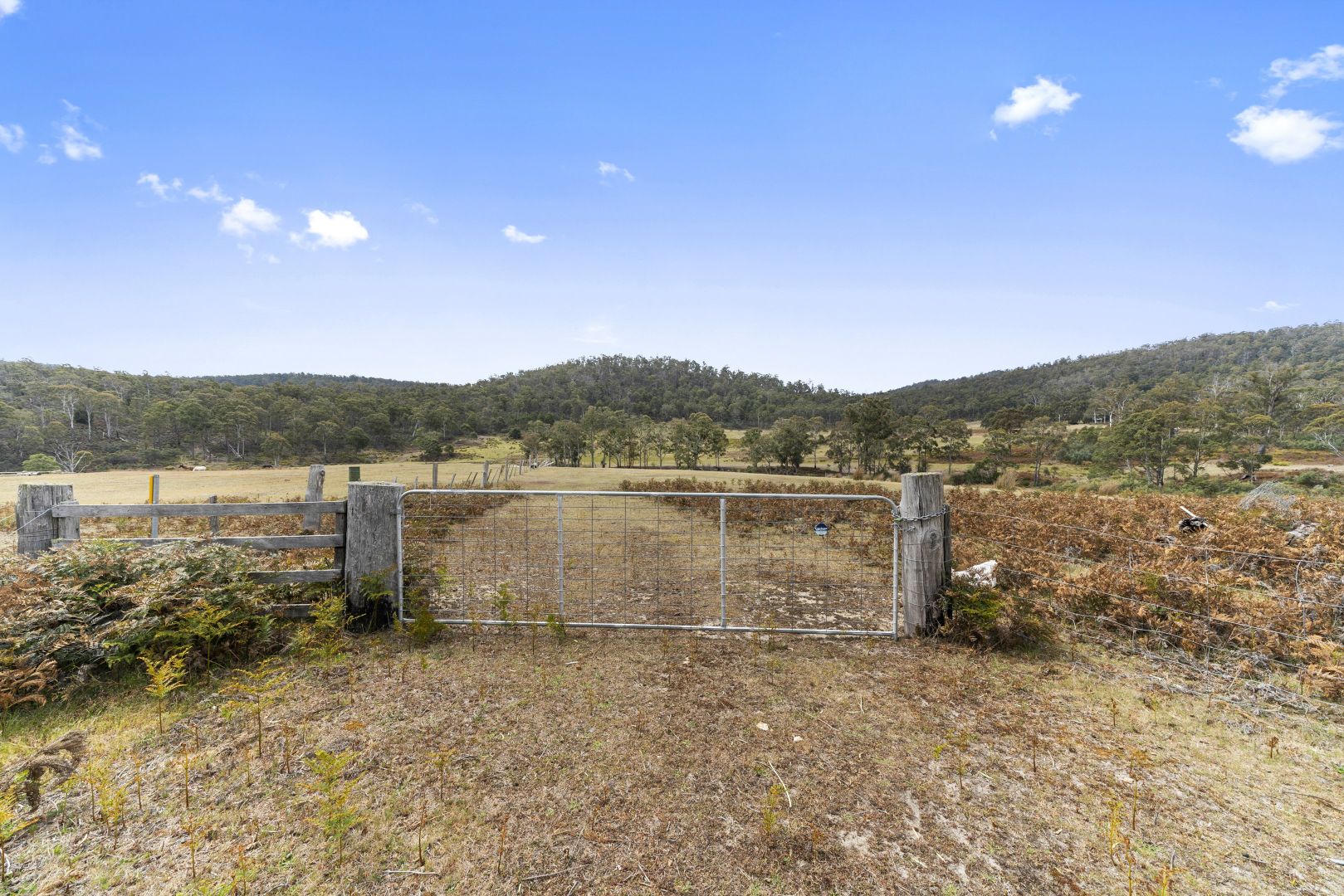 Lot 1 Link Road, Colebrook TAS 7027, Image 1