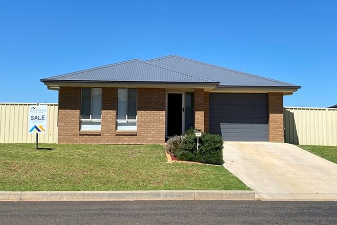 32 Houses For Sale In Griffith Nsw 2680 Domain