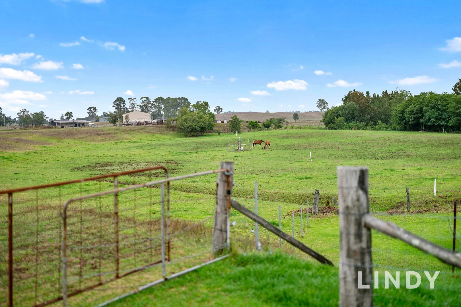 Additional image 15 of 259 Mitchells Flat Road, Singleton NSW 2330