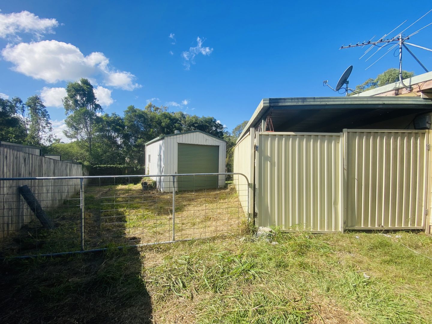 3 Jindabyne Street, Slacks Creek QLD 4127 House For Rent Domain