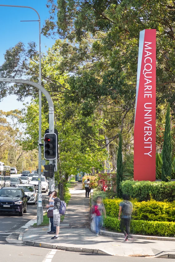 Additional image 7 of 1/57 Culloden Road, Marsfield NSW 2122