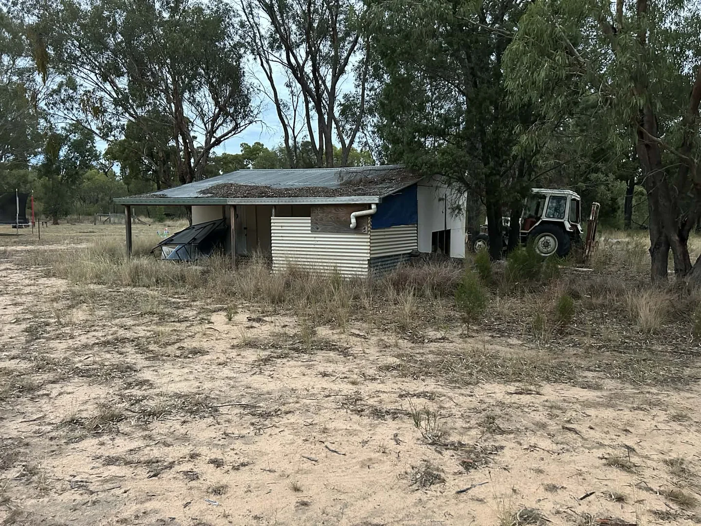 Image 12