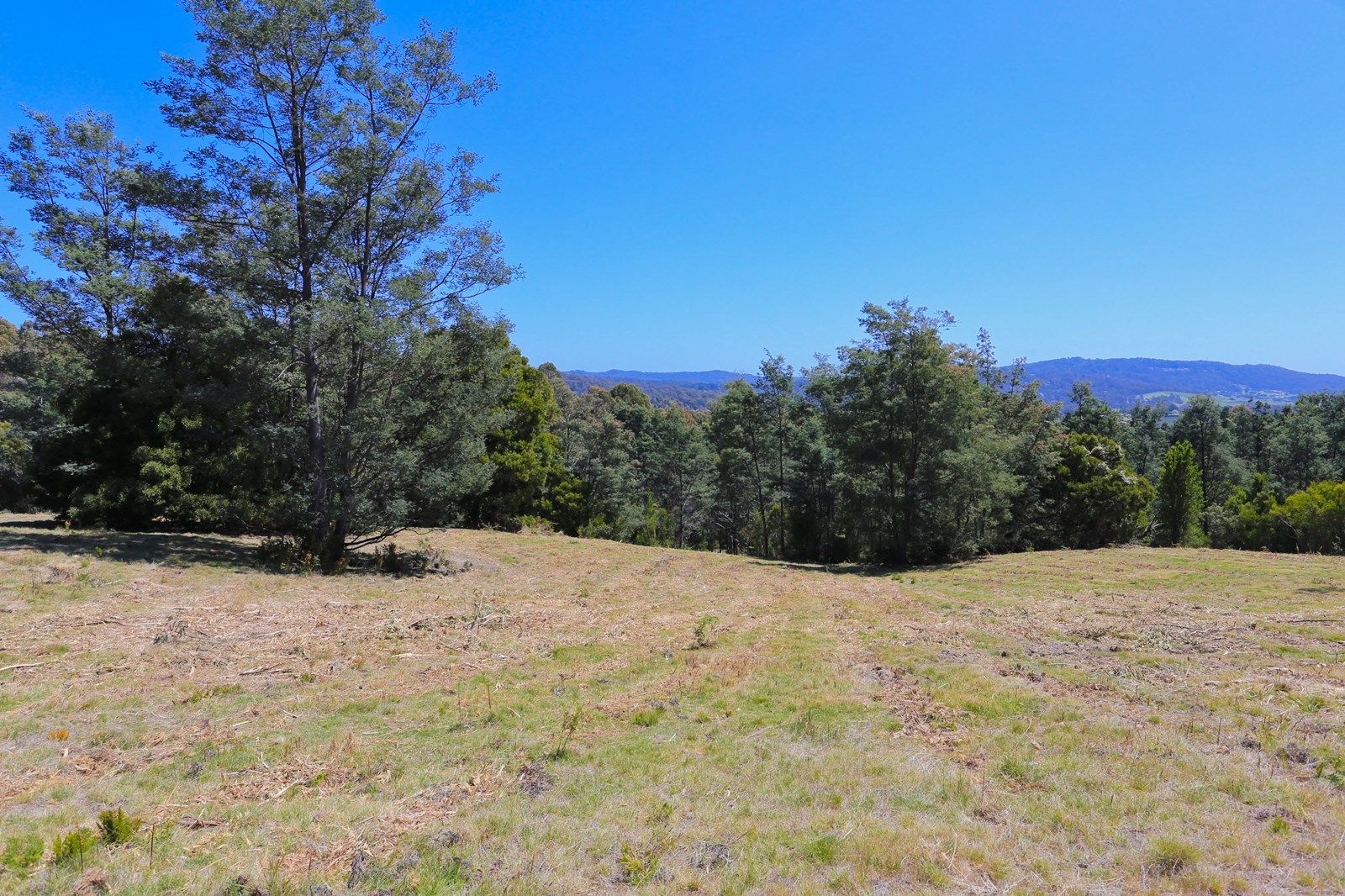 229 Grandview Drive, South Spreyton TAS 7310, Image 1