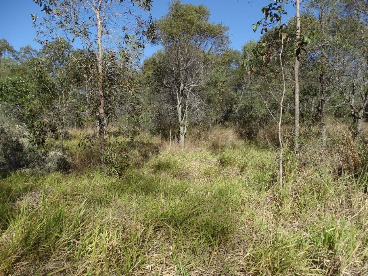 Lot 27 Cross Road, Euleilah QLD 4674, Image 2