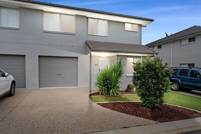 Picture of 18/30 White Ibis Drive, GRIFFIN QLD 4503