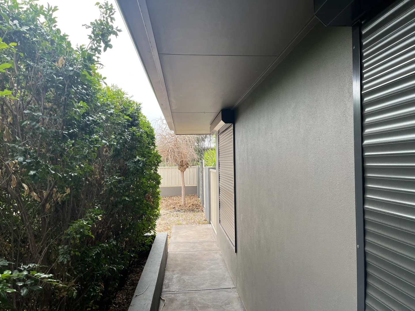 Image 32