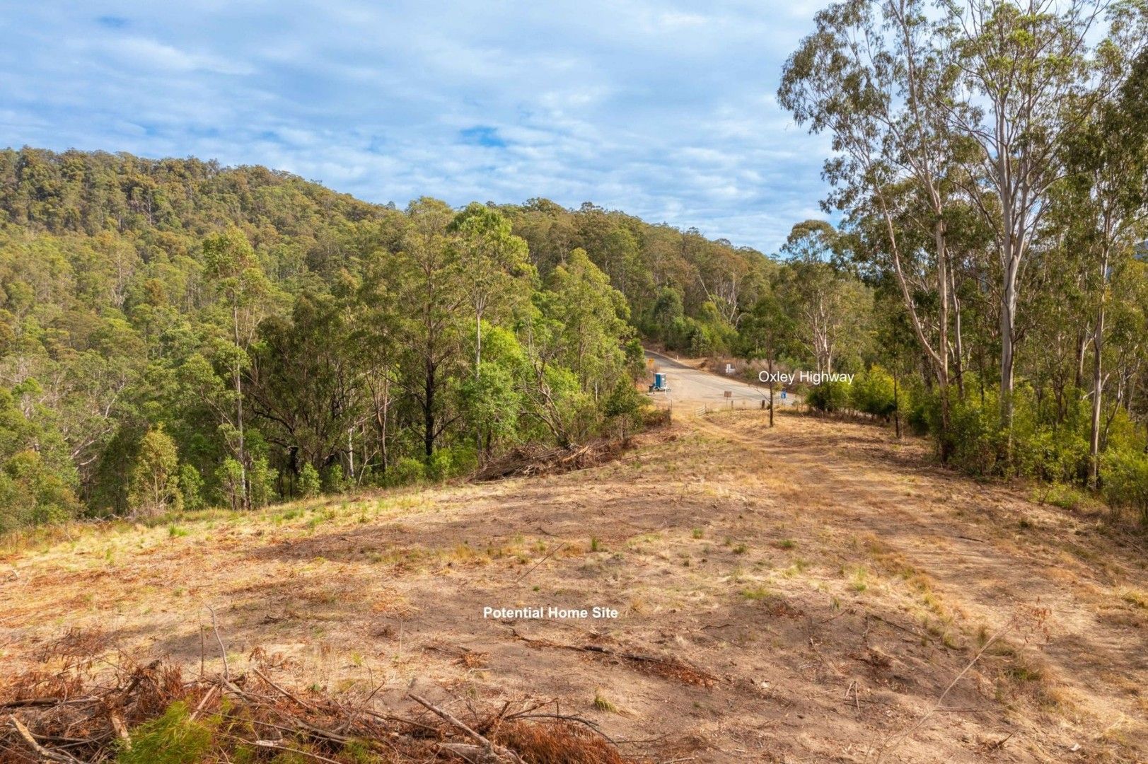 Lot 55 8409 Tobins River Road, Mount Seaview NSW 2446, Image 2