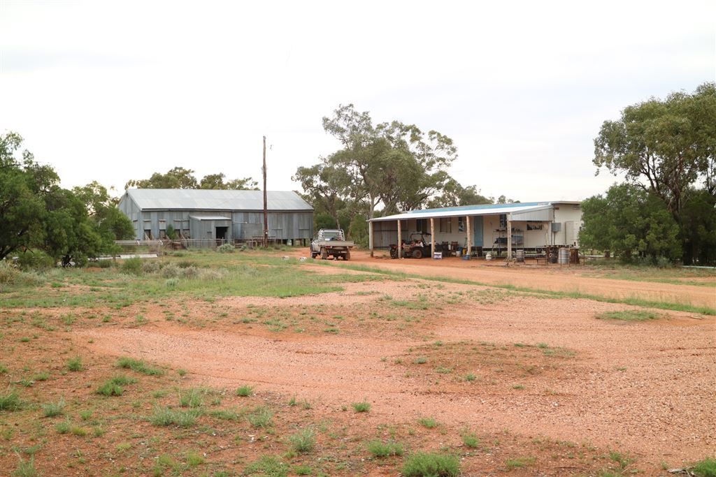 " Nidgery Downs", Nyngan NSW 2825, Image 2