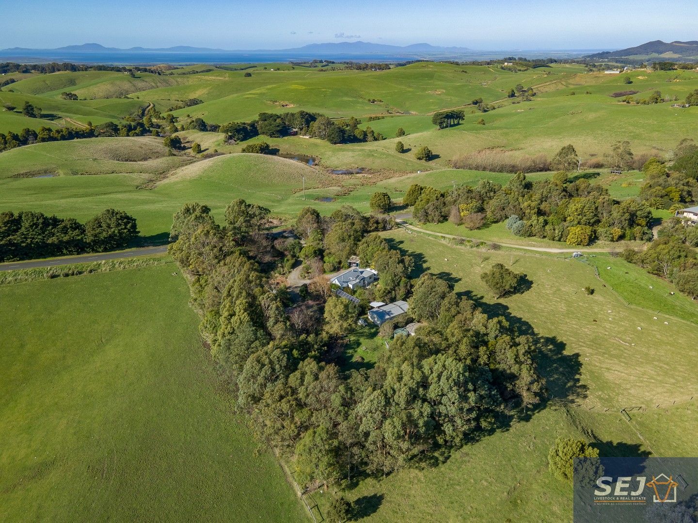 350 Ogradys Ridge Rd, Foster VIC 3960, Image 0