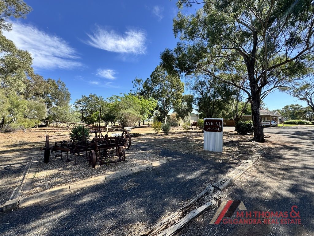 124 Myrtle Street, Gilgandra NSW 2827, Image 1