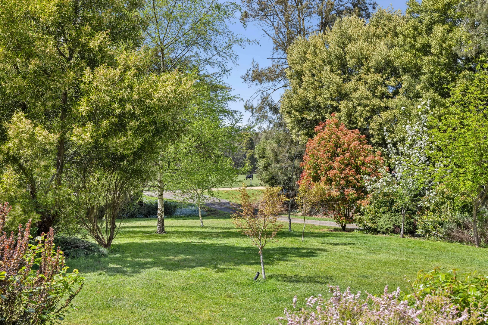Additional image 17 of 45 Blue Mount Road, Trentham VIC 3458