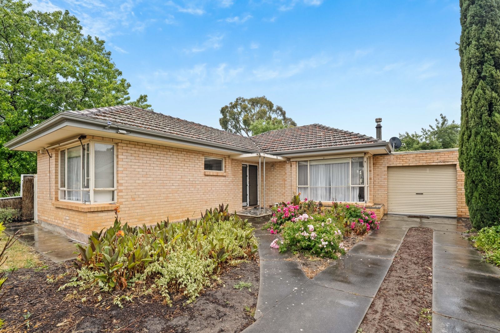 6 Gothic Road, Bellevue Heights SA 5050, Image 2