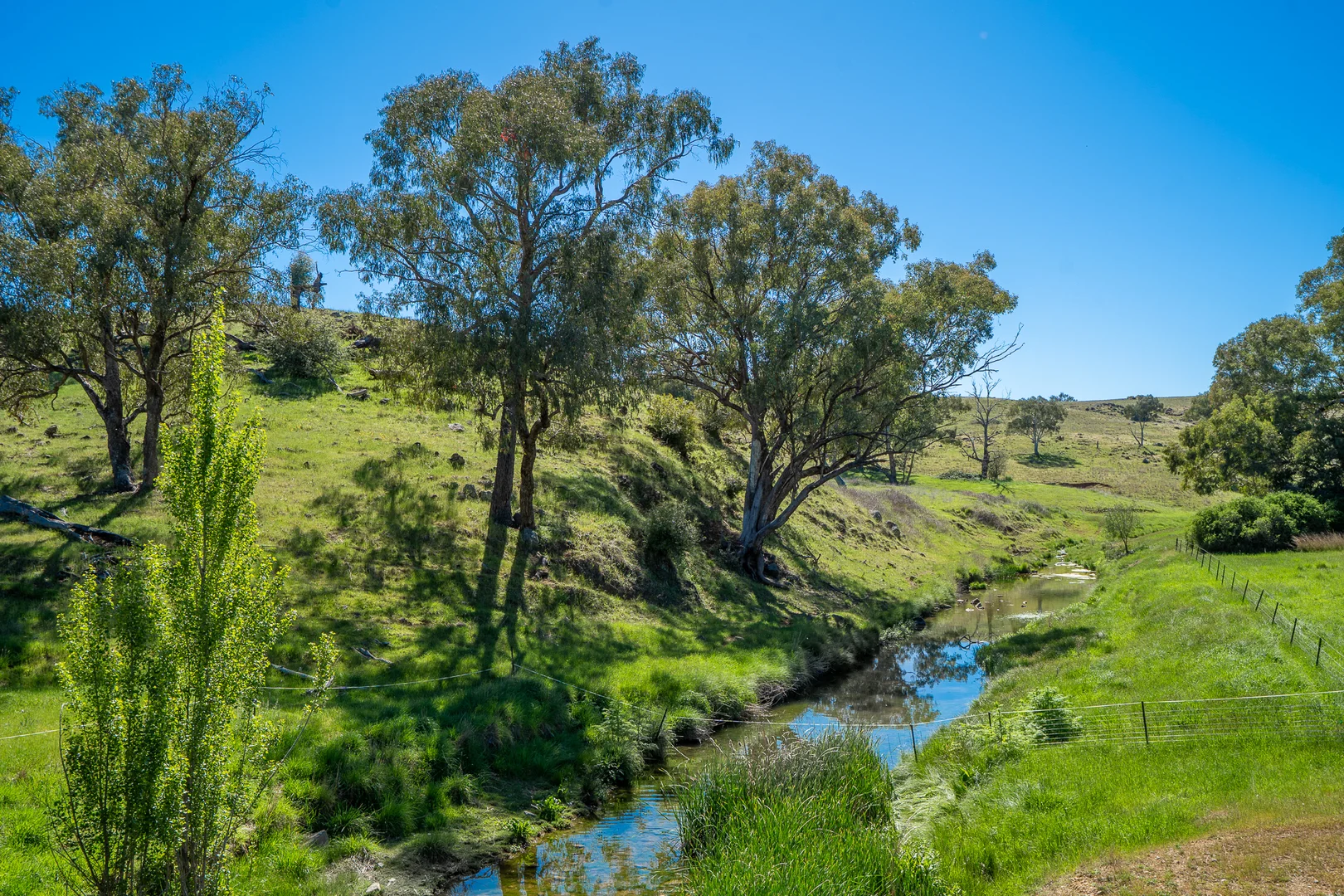 Image 14