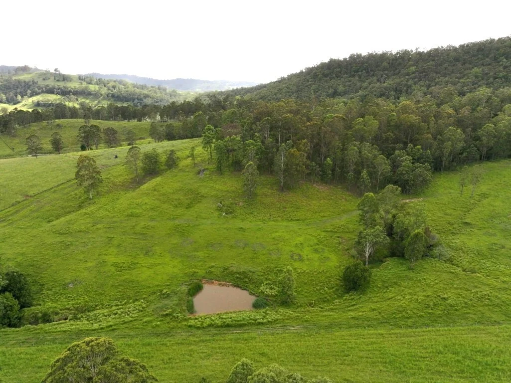 Image 29