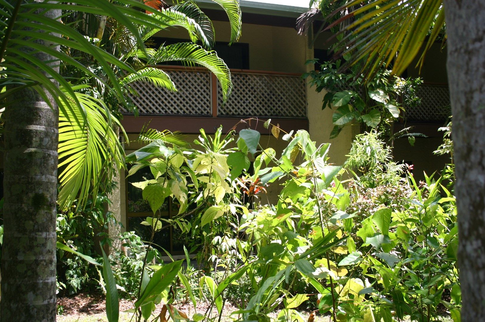 5/9 Tropic Court, Port Douglas QLD 4877, Image 0