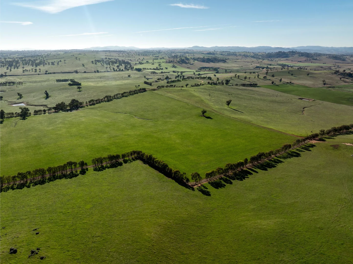 Additional image 16 of 478 Illawong Road, Jugiong NSW 2726